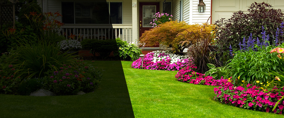 Kaneohe Landscapers