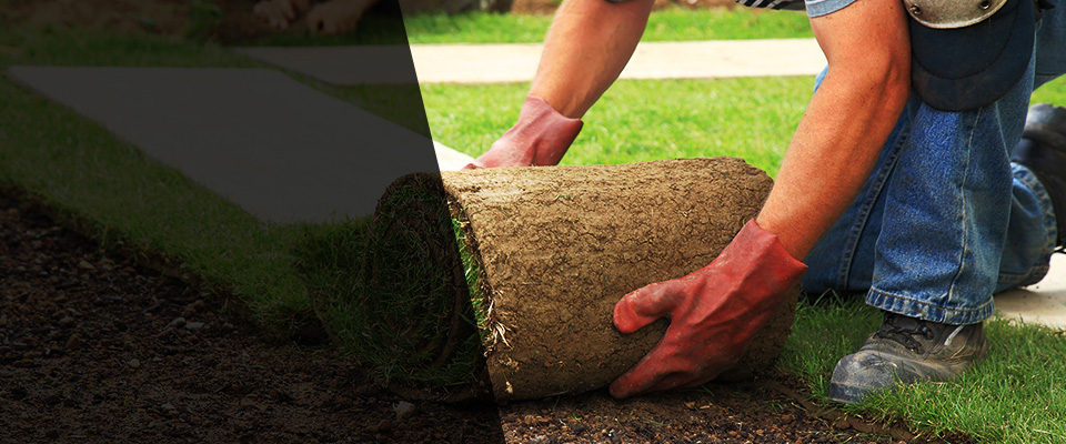 Kaneohe Landscapers